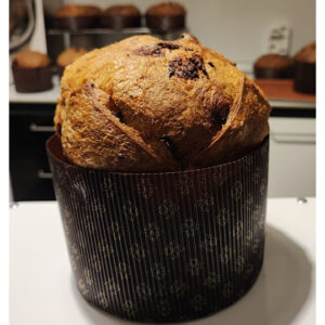 Panettone Albicocca Bufala e Cremino